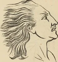 Picture 599 of 697 from New Physiognomy : or signs of character, as manifested through temperament and external forms, and especially in the "the human face divine." (1889), leaf 655