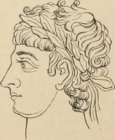An illustration from New Physiognomy : or signs of character, as manifested through temperament and external forms, and especially in the "the human face divine." (1889)
