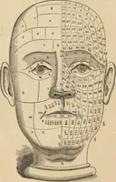 Picture 23 of 697 from New Physiognomy : or signs of character, as manifested through temperament and external forms, and especially in the "the human face divine." (1889), leaf 67