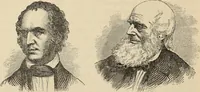 An illustration from New Physiognomy : or signs of character, as manifested through temperament and external forms, and especially in the "the human face divine." (1889)