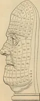 Picture 24 of 697 from New Physiognomy : or signs of character, as manifested through temperament and external forms, and especially in the "the human face divine." (1889), leaf 69
