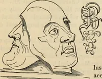 An illustration from New Physiognomy : or signs of character, as manifested through temperament and external forms, and especially in the "the human face divine." (1889)