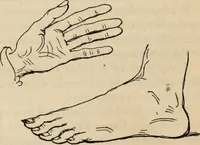 An illustration from New Physiognomy : or signs of character, as manifested through temperament and external forms, and especially in the "the human face divine." (1889)