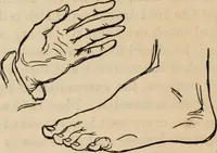 An illustration from New Physiognomy : or signs of character, as manifested through temperament and external forms, and especially in the "the human face divine." (1889)