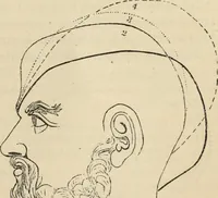 An illustration from New Physiognomy : or signs of character, as manifested through temperament and external forms, and especially in the "the human face divine." (1889)