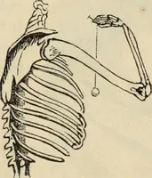 Picture 41 of 697 from New Physiognomy : or signs of character, as manifested through temperament and external forms, and especially in the "the human face divine." (1889), leaf 86