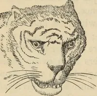 Picture 44 of 697 from New Physiognomy : or signs of character, as manifested through temperament and external forms, and especially in the "the human face divine." (1889), leaf 91