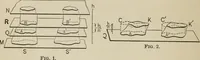 An illustration from New plane and solid geometry (1899)