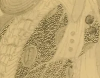 Picture 16 of 17 from New School : illustration, design, painting, The (1916), leaf 32