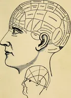 An illustration from The new science of analyzing character (1920)