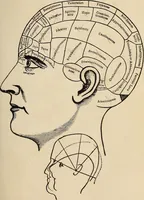 Picture 13 of 23 from The new science of analyzing character (1920), leaf 132