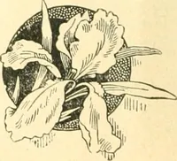 An illustration from The Newspaper man (1893)
