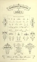 An illustration from New specimen book (1884)