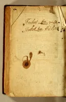 An illustration from A new survey of the West-Indies: being a journal of three thousand and three hundred miles within the main land of America: (1699)