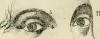 An illustration from A new system of phrenology (1839)