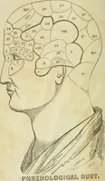 An illustration from A new system of phrenology (1839)