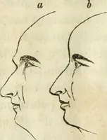 An illustration from A new system of phrenology (1839)