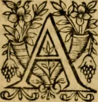 Picture 27 of 198 from The New Testament of Iesus Christ : faithfully translated into English, out of the authentical Latin, diligently conferred with the Greek, & other editions in divers languages : with arguments of books and chapters : annotations, and other helps ... (1633), leaf 104