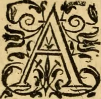 An illustration from The New Testament of Iesus Christ : faithfully translated into English, out of the authentical Latin, diligently conferred with the Greek, & other editions in divers languages : with arguments of books and chapters : annotations, and other helps ... (1633)