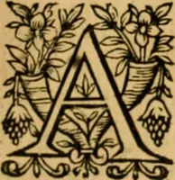 Picture 55 of 198 from The New Testament of Iesus Christ : faithfully translated into English, out of the authentical Latin, diligently conferred with the Greek, & other editions in divers languages : with arguments of books and chapters : annotations, and other helps ... (1633), leaf 180