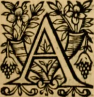 Picture 57 of 198 from The New Testament of Iesus Christ : faithfully translated into English, out of the authentical Latin, diligently conferred with the Greek, & other editions in divers languages : with arguments of books and chapters : annotations, and other helps ... (1633), leaf 186