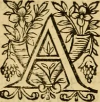 An illustration from The New Testament of Iesus Christ : faithfully translated into English, out of the authentical Latin, diligently conferred with the Greek, & other editions in divers languages : with arguments of books and chapters : annotations, and other helps ... (1633)