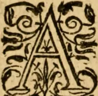Picture 66 of 198 from The New Testament of Iesus Christ : faithfully translated into English, out of the authentical Latin, diligently conferred with the Greek, & other editions in divers languages : with arguments of books and chapters : annotations, and other helps ... (1633), leaf 243