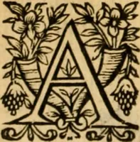 Picture 67 of 198 from The New Testament of Iesus Christ : faithfully translated into English, out of the authentical Latin, diligently conferred with the Greek, & other editions in divers languages : with arguments of books and chapters : annotations, and other helps ... (1633), leaf 245