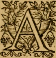 Picture 76 of 198 from The New Testament of Iesus Christ : faithfully translated into English, out of the authentical Latin, diligently conferred with the Greek, & other editions in divers languages : with arguments of books and chapters : annotations, and other helps ... (1633), leaf 276