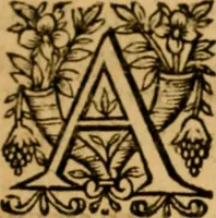 Picture 87 of 198 from The New Testament of Iesus Christ : faithfully translated into English, out of the authentical Latin, diligently conferred with the Greek, & other editions in divers languages : with arguments of books and chapters : annotations, and other helps ... (1633), leaf 322