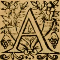 Picture 100 of 198 from The New Testament of Iesus Christ : faithfully translated into English, out of the authentical Latin, diligently conferred with the Greek, & other editions in divers languages : with arguments of books and chapters : annotations, and other helps ... (1633), leaf 366