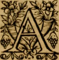 Picture 108 of 198 from The New Testament of Iesus Christ : faithfully translated into English, out of the authentical Latin, diligently conferred with the Greek, & other editions in divers languages : with arguments of books and chapters : annotations, and other helps ... (1633), leaf 404