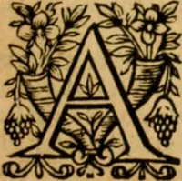Picture 109 of 198 from The New Testament of Iesus Christ : faithfully translated into English, out of the authentical Latin, diligently conferred with the Greek, & other editions in divers languages : with arguments of books and chapters : annotations, and other helps ... (1633), leaf 408