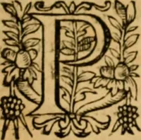 An illustration from The New Testament of Iesus Christ : faithfully translated into English, out of the authentical Latin, diligently conferred with the Greek, & other editions in divers languages : with arguments of books and chapters : annotations, and other helps ... (1633)
