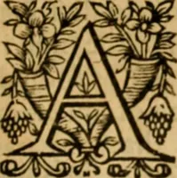 Picture 115 of 198 from The New Testament of Iesus Christ : faithfully translated into English, out of the authentical Latin, diligently conferred with the Greek, & other editions in divers languages : with arguments of books and chapters : annotations, and other helps ... (1633), leaf 422