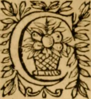Picture 164 of 198 from The New Testament of Iesus Christ : faithfully translated into English, out of the authentical Latin, diligently conferred with the Greek, & other editions in divers languages : with arguments of books and chapters : annotations, and other helps ... (1633), leaf 640