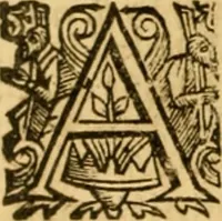 An illustration from The New Testament of Iesus Christ : faithfully translated into English, out of the authentical Latin, diligently conferred with the Greek, & other editions in divers languages : with arguments of books and chapters : annotations, and other helps ... (1633)