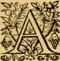 Picture 198 of 198 from The New Testament of Iesus Christ : faithfully translated into English, out of the authentical Latin, diligently conferred with the Greek, & other editions in divers languages : with arguments of books and chapters : annotations, and other helps ... (1633), leaf 739
