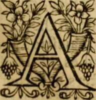Picture 21 of 198 from The New Testament of Iesus Christ : faithfully translated into English, out of the authentical Latin, diligently conferred with the Greek, & other editions in divers languages : with arguments of books and chapters : annotations, and other helps ... (1633), leaf 76