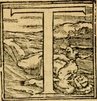 An illustration from The New Testament of Iesus Christ : faithfully translated into English, out of the authentical Latin, diligently conferred with the Greek, & other editions in divers languages : with arguments of books and chapters : annotations, and other helps ... (1633)