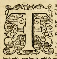 Picture 1 of 2 from The New Testament of our Lord Iesus Christ : translated out of Greeke by Theod. Beza ; with brief summaries and expositions upon the hard places by the said authour, Ioac. Camer., and P. Lofeler Villerius ; Englished by L. Tomson ; with annotations of Fr. Iunius upon Revelation (1599), leaf 220