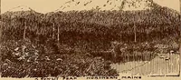 Picture 13 of 18 from Newton Club catalogue of paintings : [exhibition] from December the 9th to December the 17th, 1896 (1896), leaf 41