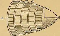 An illustration from Newton's principia, first book sections I, II, III, with notes and illustrations and a collection of problems, principally intended as examples of Newton's methods (1900)