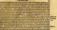 An illustration from New Welt, das ist: Volkommen Beschreibung von Natur, Art vnd Gelegenheit der Newer Welt, die man sonst America oder West-Jndien nennet, : in zwey Theil abgetheilt. ... (1600)