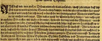 An illustration from New Welt, das ist: Volkommen Beschreibung von Natur, Art vnd Gelegenheit der Newer Welt, die man sonst America oder West-Jndien nennet, : in zwey Theil abgetheilt. ... (1600)