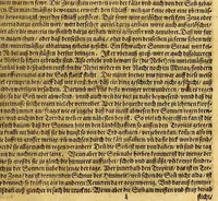 An illustration from New Welt, das ist: Volkommen Beschreibung von Natur, Art vnd Gelegenheit der Newer Welt, die man sonst America oder West-Jndien nennet, : in zwey Theil abgetheilt. ... (1600)