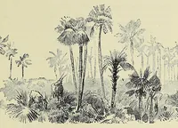 An illustration from The new world of Central Africa. With a history of the first Christian mission on the Congo (1890)