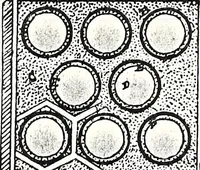 An illustration from New York City record and building trades directory (1892)
