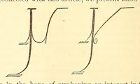 An illustration from The New York coach-maker's magazine (1858)