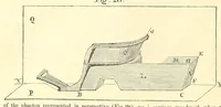 An illustration from The New York coach-maker's magazine (1858)